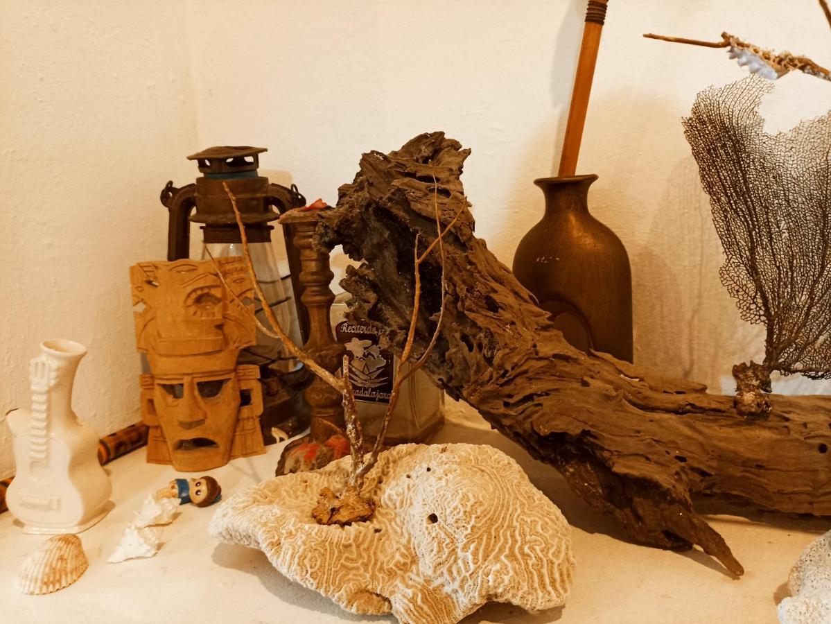 Casa De Los Pajaros - B&B Βαγιαδολίδ Εξωτερικό φωτογραφία