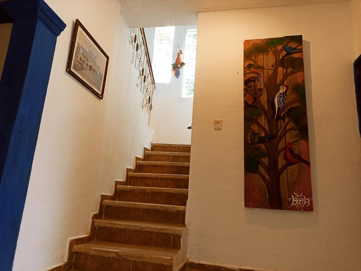 Casa De Los Pajaros - B&B Βαγιαδολίδ Εξωτερικό φωτογραφία