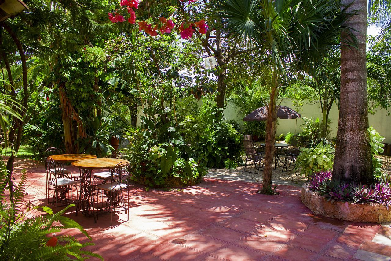 Casa De Los Pajaros - B&B Βαγιαδολίδ Εξωτερικό φωτογραφία